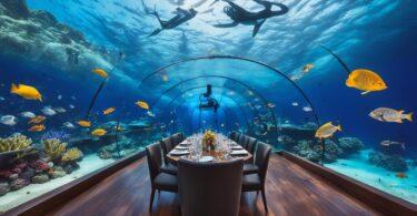 5 Best Undersea Restaurants in the Maldives That Will Leave You in Awe